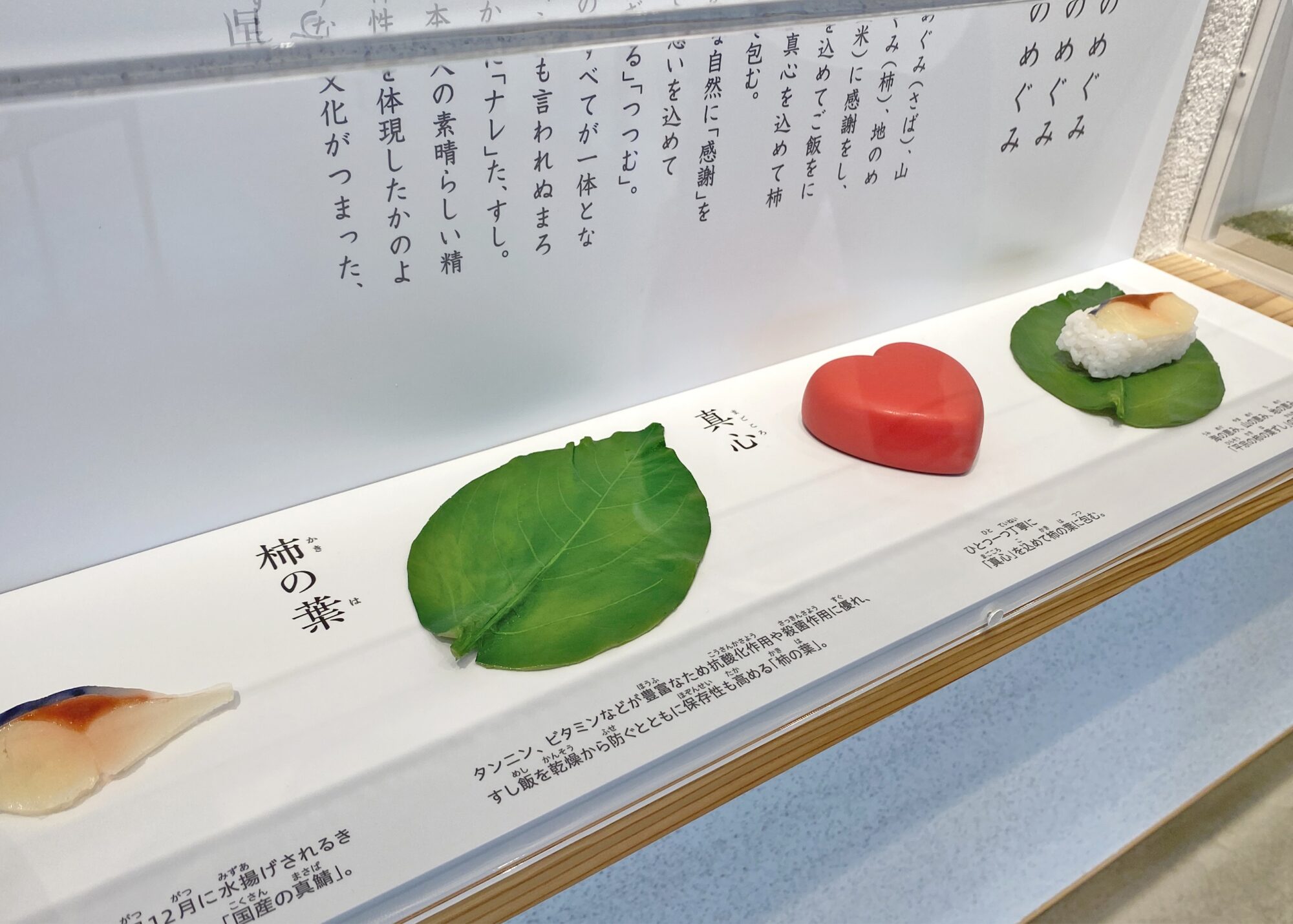 平宗「便利館」歴史展示スペースの柿の葉のサンプル