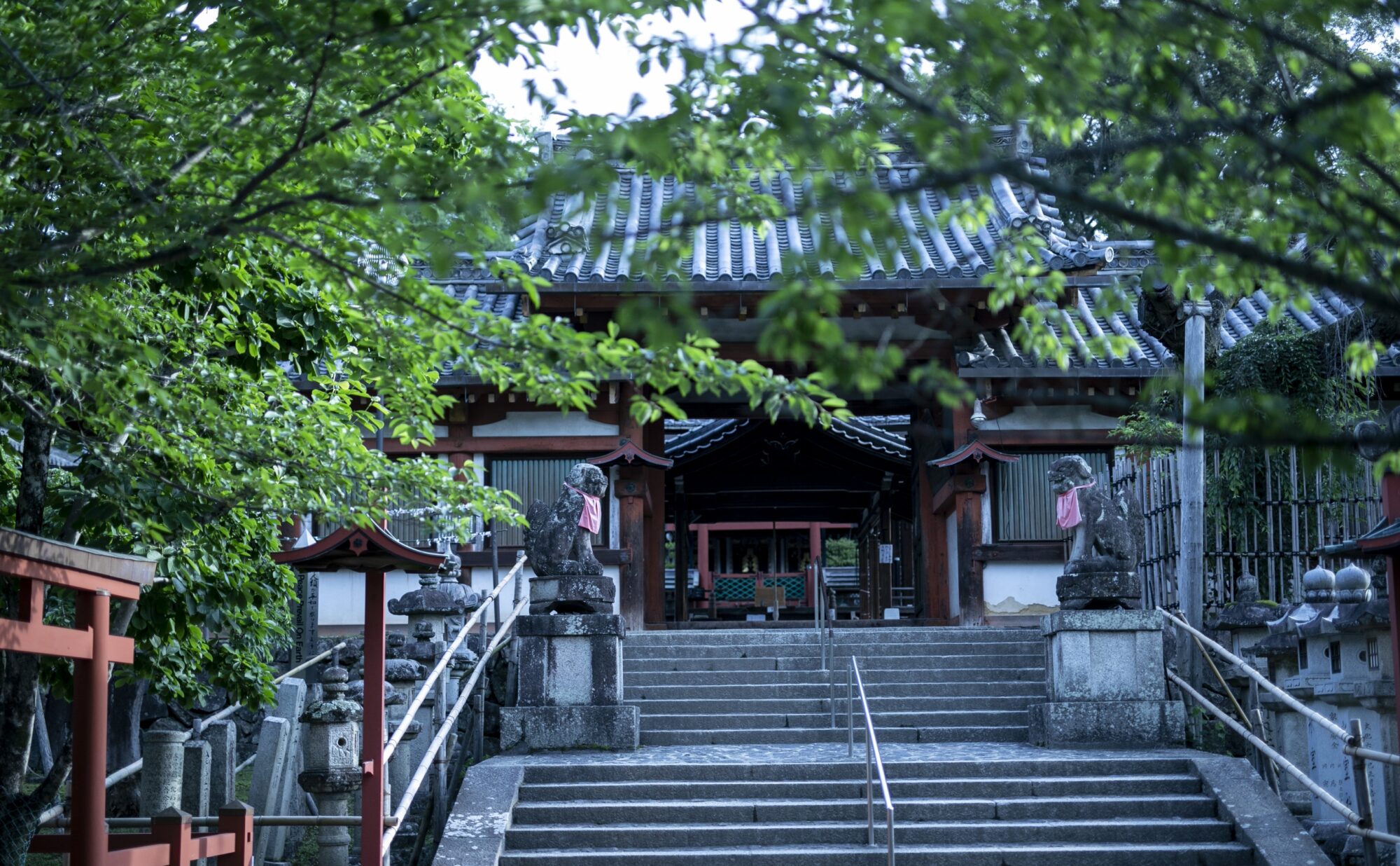 氷室神社の写真