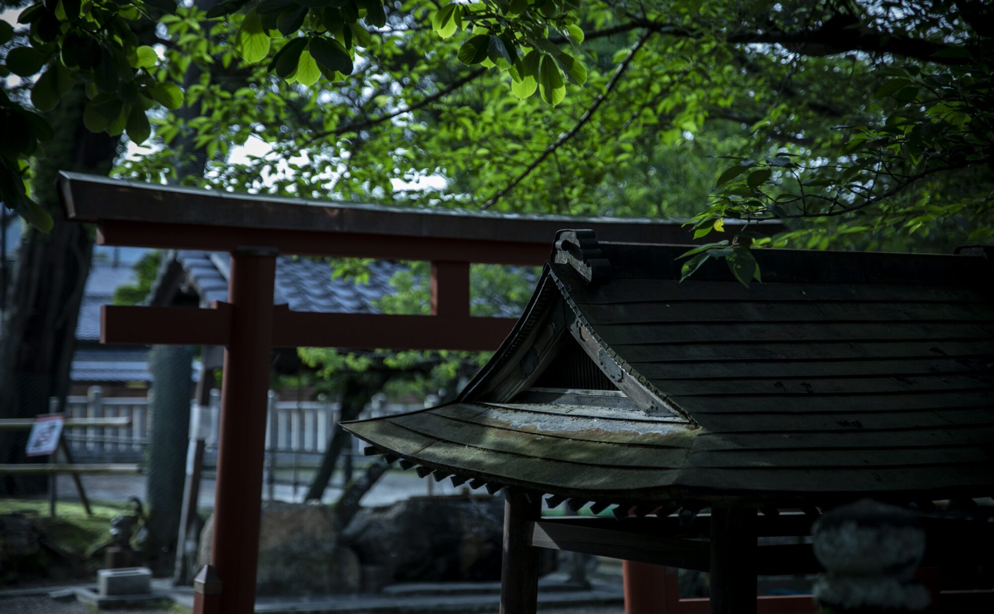 氷室神社の境内